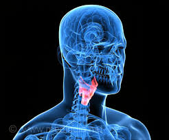 This kind of pain will appear suddenly and disappear suddenly, with a certain degree of repetition. Laryngeal Cancer Could Be Due To Persistent Sore Throat