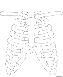 Luke cage coloring pages sketches art quote coloring pages drawings art background kunst. Rib Cage Coloring Pages Printable