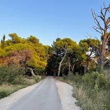 Unbelievably Beautiful Dubrovnik Is A Must Visit
