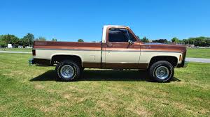 Image result for Brown 1979 Chevy Truck