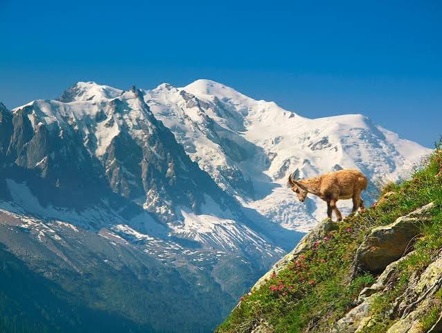 10 Highest Mountain In The Alps - Climbing Kilimanjaro