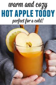 Apple Cider Hot Toddy A Warm And Cozy Whiskey Cocktail Rhubarbarians Recipe Apple Cider Hot Toddy Hot Toddies Recipe Hot Toddy