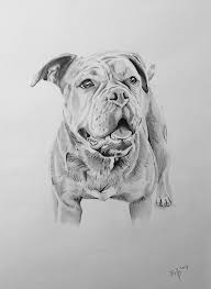 Hunde malen lassen auf leinwand & künstlerpapier. Hundezeichnung Vom Foto Portrait Zeichnen Lassen