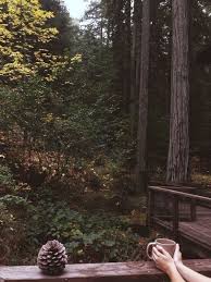 Landscapes Dreams Cabins In The Woods Photography Nature