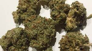 Og kush and poison durban combine to create this dominant indica plant which obligatorily has compact resinous buds structure of tinted purple leaves. Strain Review Jefe Og By Cookies Enterprises The Highest Critic