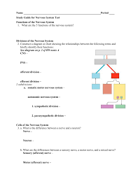 study guide for nervous system test