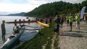 Il s'agit de votre entreprise ? Edf Prolonge Avec La Federation Francaise De Canoe Kayak Jusqu En 2016