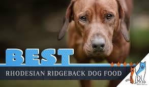 6 Best Rhodesian Ridgeback Dog Foods With Top Puppy Senior