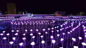 A Lovely Field Of Led Flowers At A Light Festival In Seoul South Korea Led Flower Flower Lights Lights
