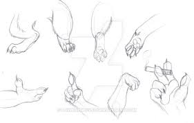 Training Anthro Paws I Make In My Job On Saturday Treino De Patas De Anthro Fiz No Meu Trabalho No Saba Paw Drawing Furry Drawing Art Reference Poses