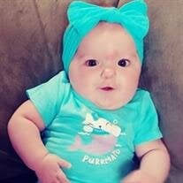 Willow Jacklyn-Marie Horton Obituary