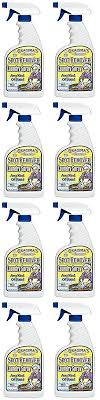 Bleaches And Stain Removers 172208 Grandma S Secret 7001 2 Pack Spot Remover Laundry Spray 16 Fl Oz 32 Buy It Now Only How To Remove Stain Remover Spray