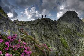 Cel mai înalt munte este mauna kea din hawaii cu un record de 9 170 m. Top 10 Cele Mai Inalte Varfuri Muntoase Din Romania