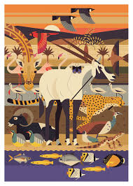 Desert Animals By Owen Davey Graphic Illustration Animal Graphic Animal Illustration