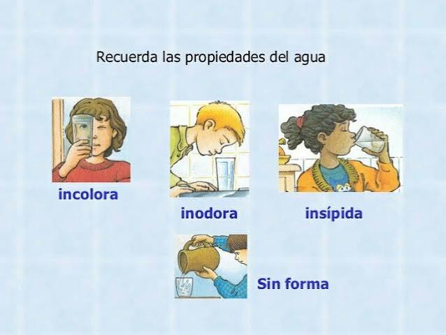 Características del agua Tarea de ciencias