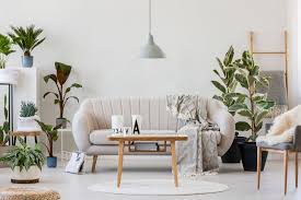 We did not find results for: Https Www News Press Com Story Sponsor Story Baers Furniture 2019 06 14 Feel Like Youre Vacation Year Round Bringing Outdoors Inside 1436126001 2019 11 05t19 49 36 861z Https Www Gannett Cdn Com Presto 2019 06 12 Pftm A343fe37 530b 471a