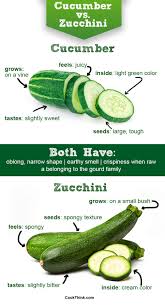 Check spelling or type a new query. 9 Sensational Ways To Compare A Zucchini Vs Cucumber Cookthink