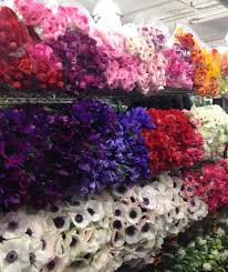 We offer same day flower delivery when you order by 12:00 pm local denver time monday through friday and 11:00 am on saturday. Musings Of A Florist Relationship With Your Wholesaler Flirty Fleurs The Florist Blog Inspiration For Floral Designers