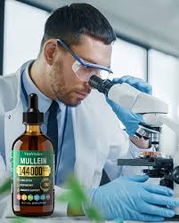 Amazon.com: Gotas de gordolobo para pulmones, 144000 mg de extracto de hoja  de gordolobo para limpieza de pulmones y función respiratoria respiración  saludable inmune, sistema digestivo, suplemento de hierbas : Salud y