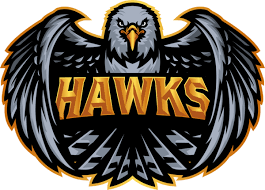 Any of various birds of prey, especially of the genera accipiter and buteo in the family accipitridae. Hawks Liquipedia Rocket League Wiki