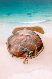 Perth To Esperance Road Trip With 25 Awesome Spots With Map In 2020 Road Trip Road Trip Fun Western Australia