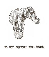 Camillanarea Animal Cruelty Art Animal Cruelty Quotes Animal Activism