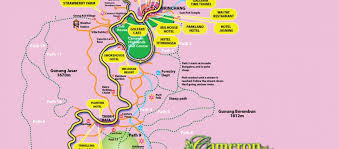 Dates you select, hotel's policy etc.). Cameron Map Getting There Cameron Highlands Online