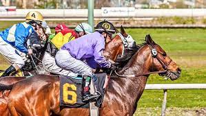 What We Re Learning From Horse Racing Research The Horse