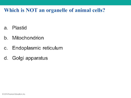 Finally, an unlabeled version of the diagram is included at the bottom of the page, in color and black and white. Cell Structure And Function Ppt Download