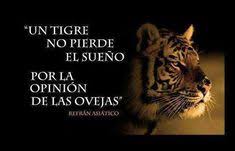 51 Ideas De Refranes Proverbios Frases Y O Citas Celebres Proverbios Refranes Frases Selecta colección de citas con el pensamiento de personajes célebres que han hecho historia. proverbios refranes frases