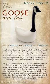 Goose Birth Totem Animal Totems Totem Native American Totem