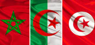 Drapeau marocain transparent avec pinceau aquarelle, maroc, drapeau maroc, vecteur drapeau maroc fichier png et psd pour le téléchargement libre. Algerie Maroc Tunisie Pour L Organisation De La Coupe Du Monde 2030 Dzballon L Actu Du Football Algerien