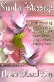 In these page, we also have variety of images available. 10 Sunday Morning Blessing Quotes Blessed Sunday Blessed Sunday Quotes Christian Good Morning Messages