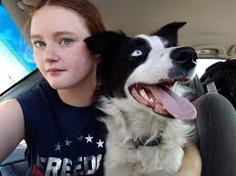 Rehoming a 5-year-old Borderline Collie Mix Dog in Arizona