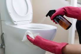 Turn the water supply off to your toilet and flush twice to remove all the water from the bowl. How To Properly Clean A Toilet