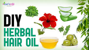 For generations, hair oils have been used to stimulate hair growth and address a host of other hair concerns. Herbal Hair Oil Preparation Hair Oil For Fast Hair Growth How To Make Herbal Hair Oil Youtube