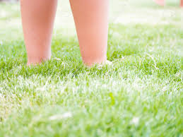 feet kid on the grass. feet of a child