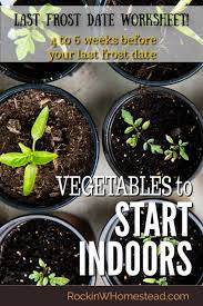 Pin On Vegetable Gardening