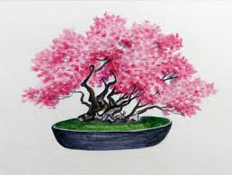 Bonsai Judas Tree Painting 5 X7 R Watercolor
