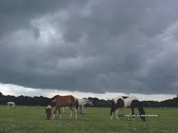 In december 2019, the laws to prevent cell phone use while driving became stricter than ever. Cyclone In Arabian Sea Cyclonic Storm In Arabian Sea Imd Issues Red Alert To Coastal Maharashtra Gujarat For June 4 The Economic Times