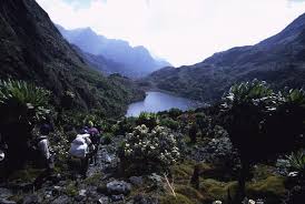 Welcome to rwenzori mountains national park destination guide. Rwenzori Mountains National Park Uganda Journeys By Design