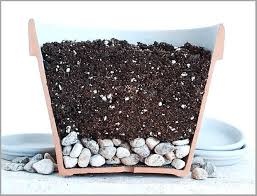 Your plants will be happier if you uniformly increase the drainage of the soil itself. Why Adding Rocks In Pots To Improve Drainage Is Dumb Hort Zone