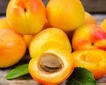 تصویر قیسی نصیری