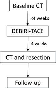 We did not find results for: Trial Schema For Paragon Study Download Scientific Diagram