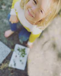 Wild + Free Herbal Apothecary