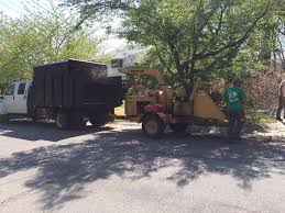 Christian books, fine gifts, and stationery.the sycamore tree in charlottesville, va is an independent and local owned ecumenical christian bookstore. Simply Trees And More Llc Tree Removal Service Charlottesville Va