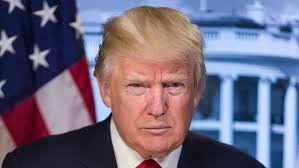 How Trump's playbook has trickled down to state and local politics