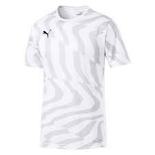 Sk rapid wien trikot home 2019/2021 grün. Puma Trikot Cup Core Jersey Weiss Grau Fussball Shop