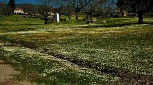 We did not find results for: Alquiler De Coches Malpartida De Plasencia Expedia