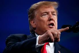 Image result for donald trump